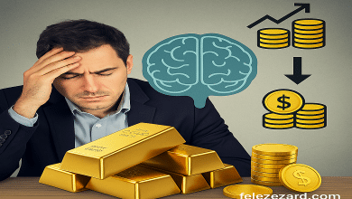 روانشناسی سرمایه‌ گذاری